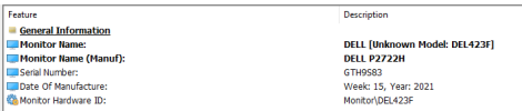 hwinfo.unknown model.dell.png