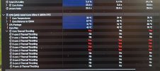hwinfo_ecore_thermal_throttle.jpg