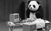 6953D536-D293-4A8C-941F-3C677DE75A55.gif