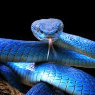 BlueBase