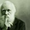 DarkDarwin